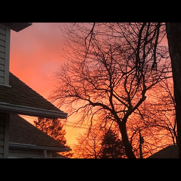 Meet your Posher, Kari - Picture 1 of 1